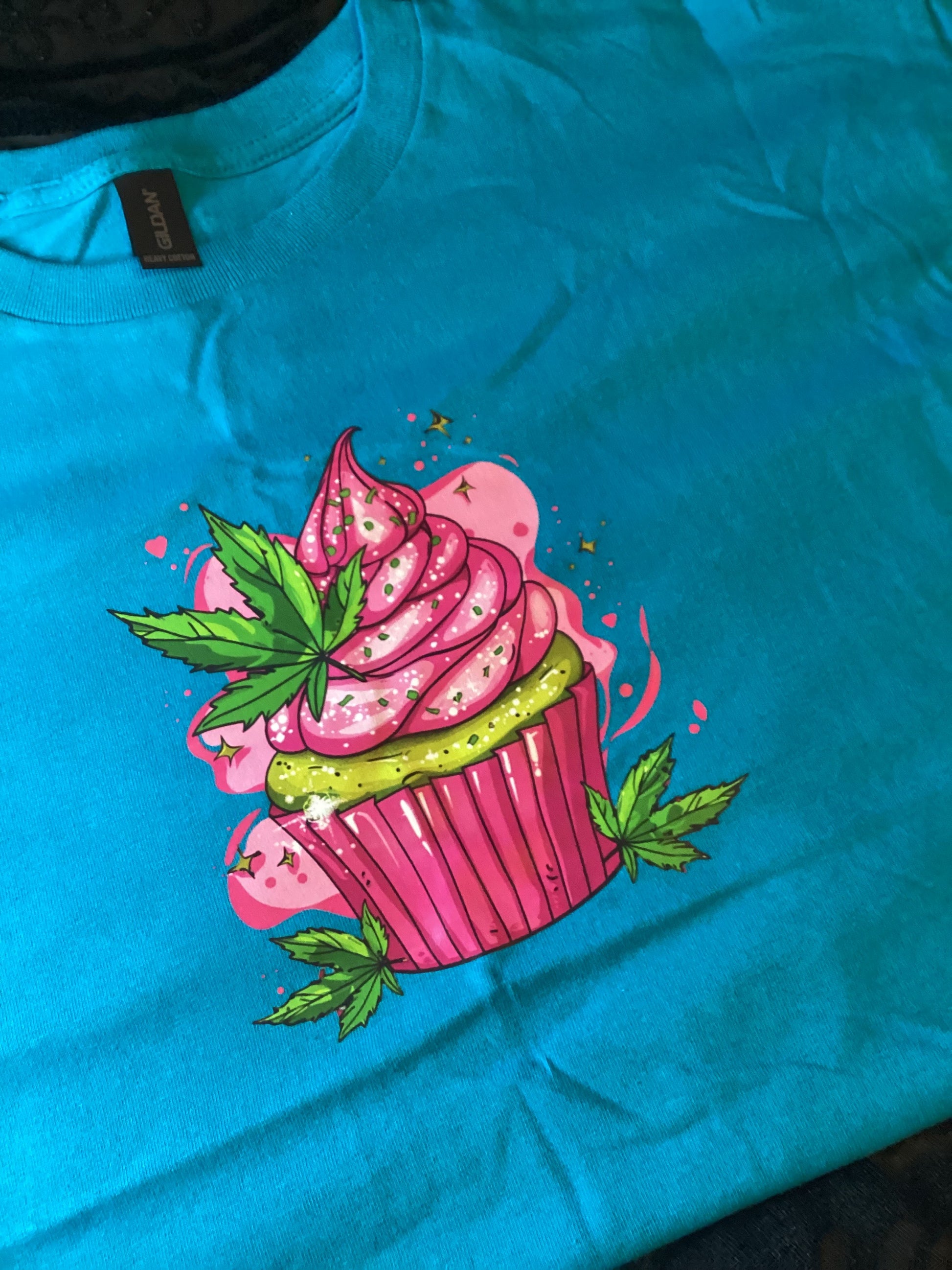Teal W/ Pink Cupcake Size Lg